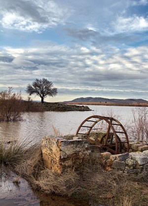 Noria hundida junto a árbol seco ©  Foto de Gustavo Barba