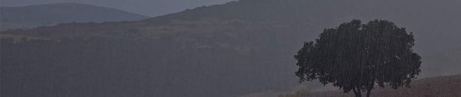 La lluvia © Foto de Gustavo Barba